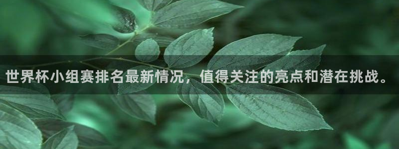 世界杯比赛：世界杯小组赛排名最新情况，值得关注的亮点和潜在挑战。