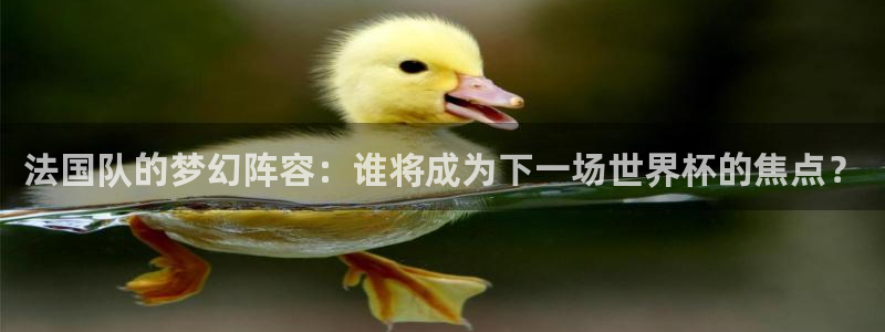 2026足球世界杯赛程时间表：法国队的梦幻阵容：谁将成为下一场世界杯的焦点？