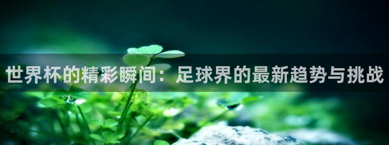 看世界杯：世界杯的精彩瞬间：足球界的最新趋势与挑战