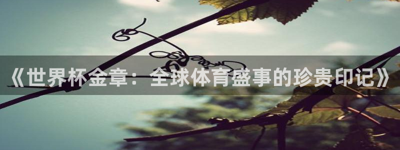 世界杯今日赛程直播：《世界杯金章：全球体育盛事的珍贵印记》