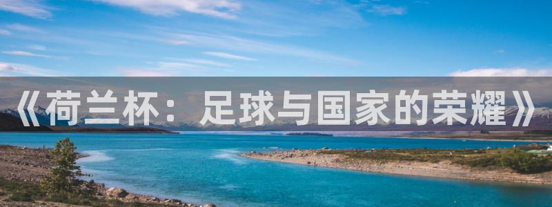 2026世界杯官网：《荷兰杯：足球与国家的荣耀》
