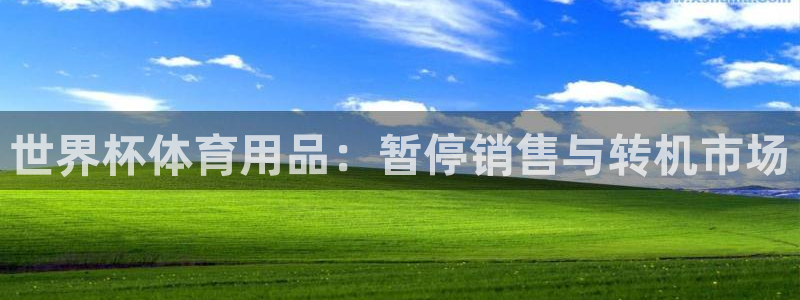 足球世界杯：世界杯体育用品：暂停销售与转机市场
