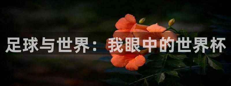 2026世界杯倒计时：足球与世界：我眼中的世界杯