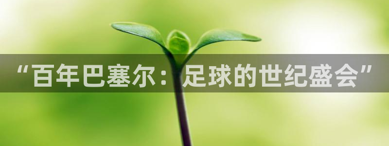 足球世界杯时间：“百年巴塞尔：足球的世纪盛会”