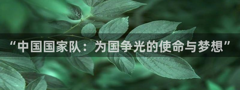 足球杯：“中国国家队：为国争光的使命与梦想”