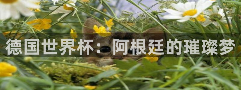 世界直播：德国世界杯：阿根廷的璀璨梦