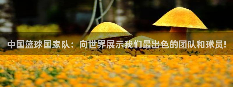 预选赛世界杯：中国篮球国家队：向世界展示我们最出色的团队和球员!