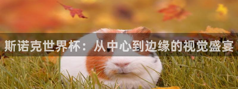 2026世界杯赛程时间表最新：斯诺克世界杯：从中心到边缘的视觉盛宴