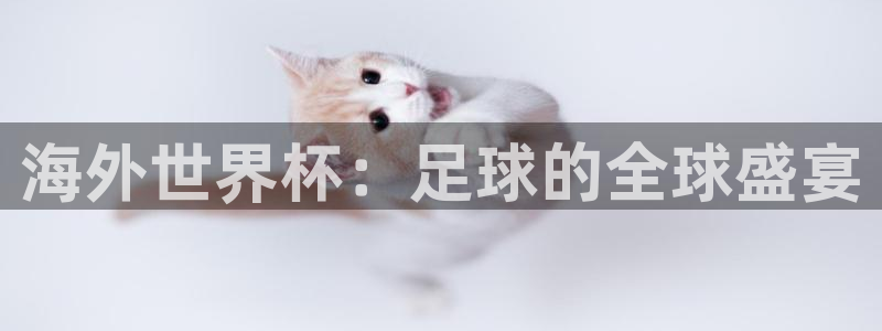 欧洲区世界杯预选赛：海外世界杯：足球的全球盛宴
