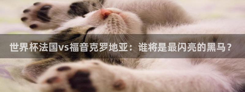 预选赛世界杯：世界杯法国vs福音克罗地亚：谁将是最闪亮的黑马？